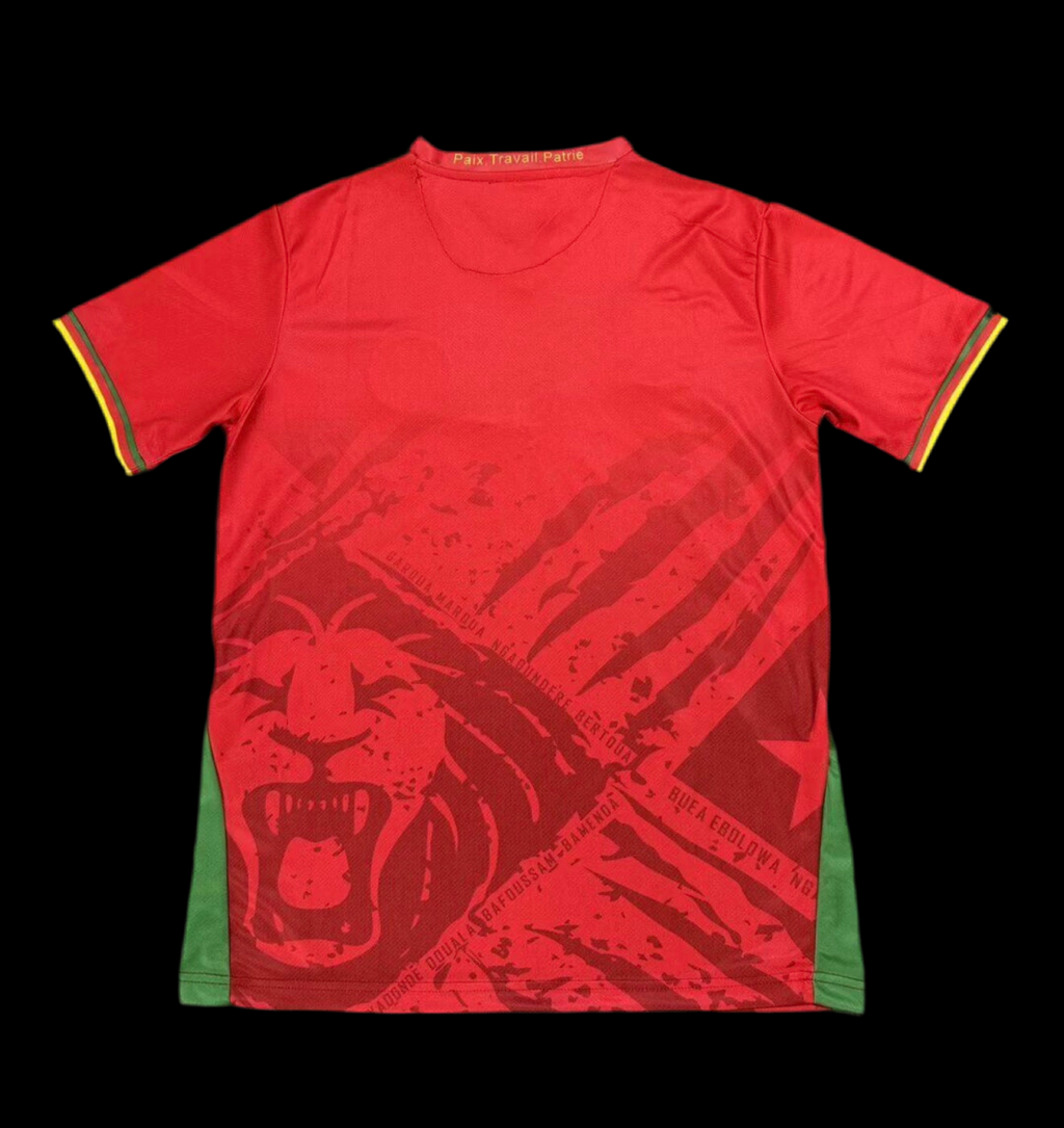 CAMEROUN 25/26 EXT