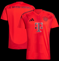 BAYERN MUNICH 24/25 DOM