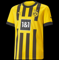 DORTMUND 2022/2023 DOM